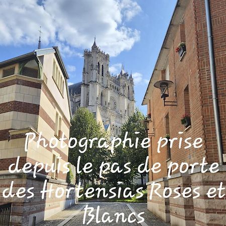 Les Hortensias Blancs Studio Amiens Luaran gambar