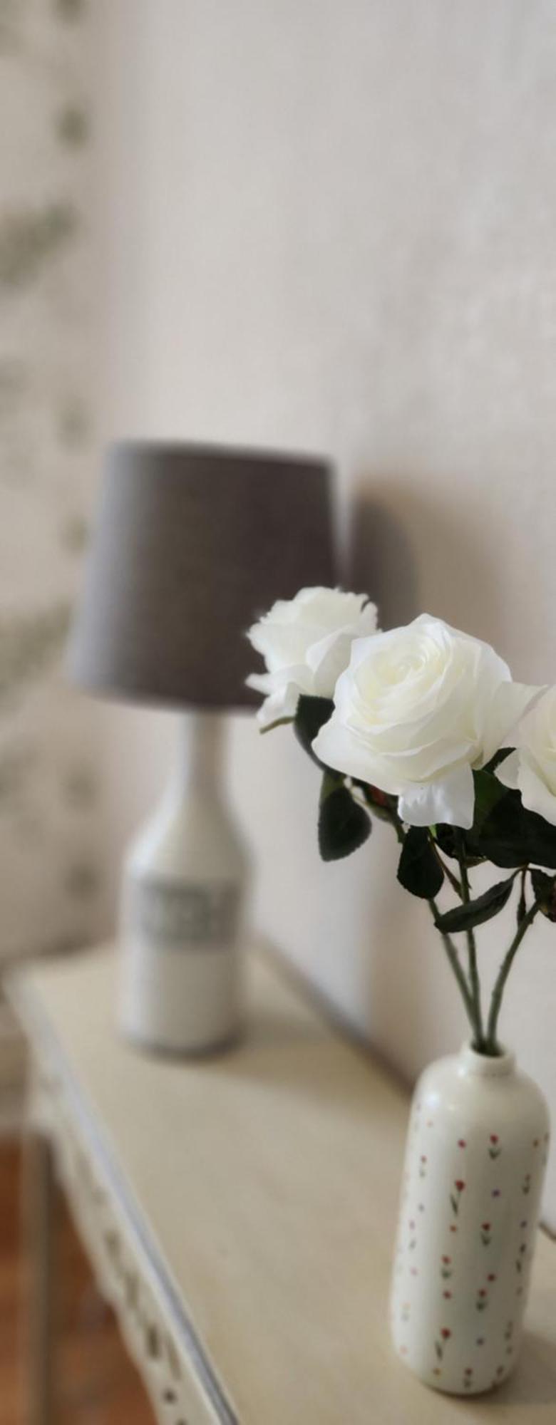 Les Hortensias Blancs Studio Amiens Luaran gambar